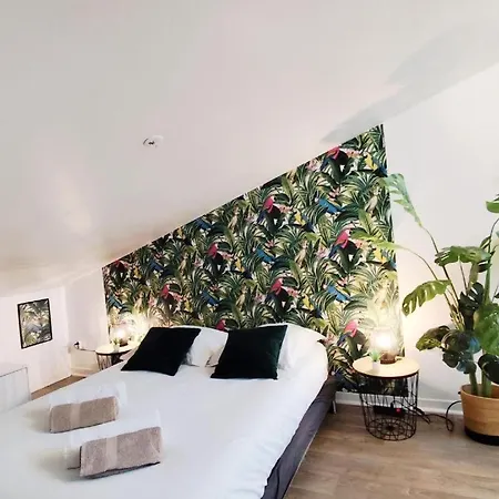Duplex Cosy Jungle 50m2 2 Salles D'eau Parking A Proximite Netflix Proche Bordeaux 5 Min Gare Bègles