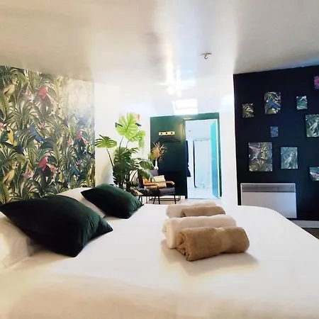 Duplex Cosy Jungle 50m2 2 Salles D'eau Parking A Proximite Netflix Proche Bordeaux 5 Min Gare Apartment Bègles